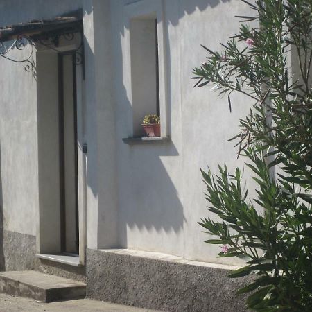 B&B Vaiana Maida Oda fotoğraf