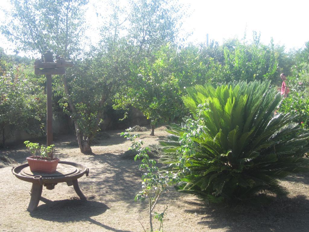 B&B Vaiana Maida Dış mekan fotoğraf