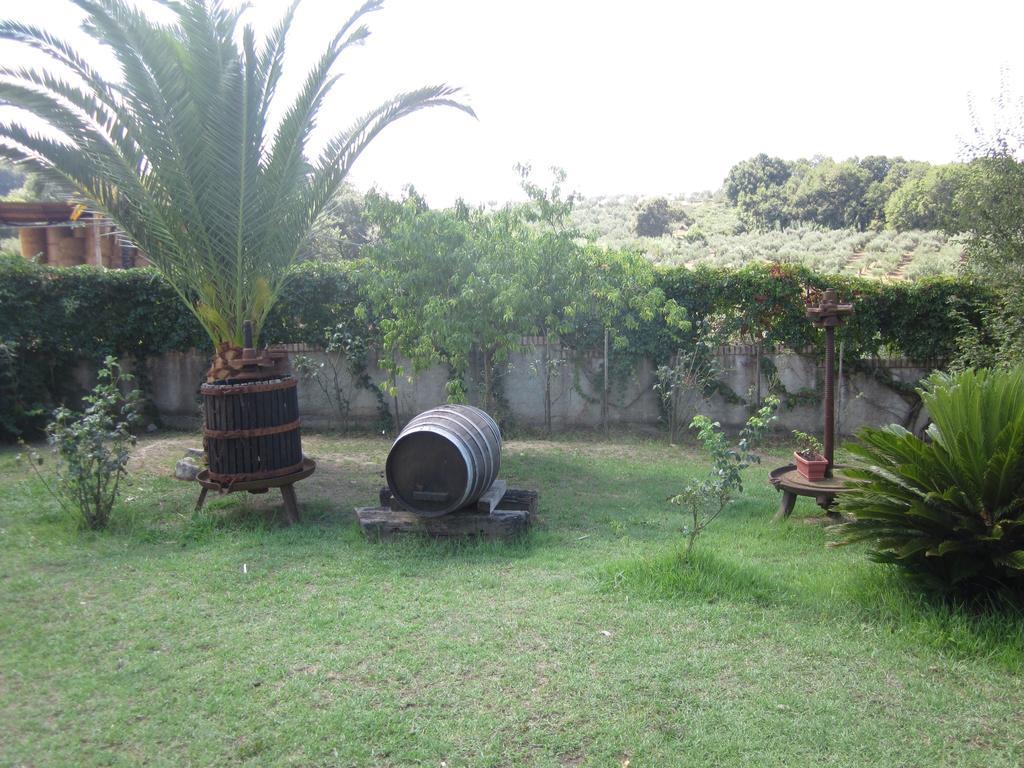 B&B Vaiana Maida Dış mekan fotoğraf
