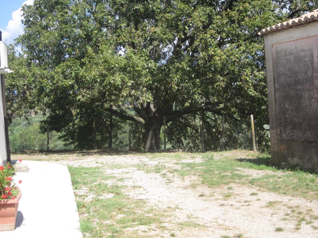 B&B Vaiana Maida Dış mekan fotoğraf