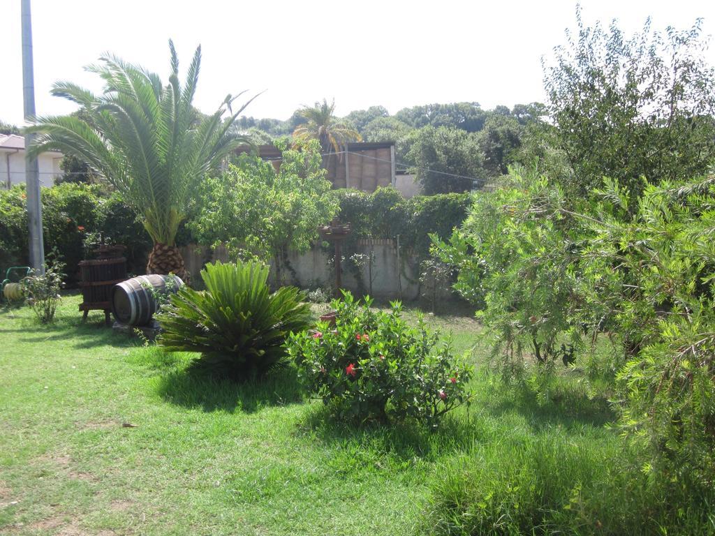 B&B Vaiana Maida Dış mekan fotoğraf